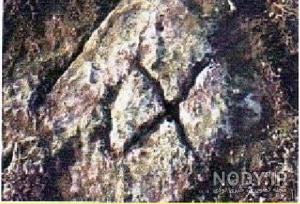 سم گاو در دفینه