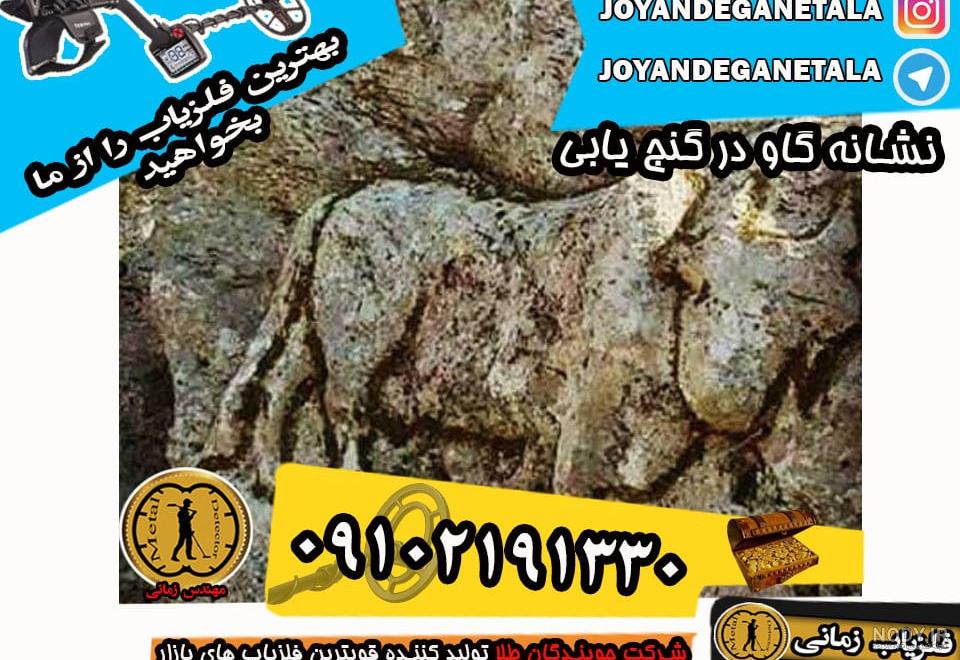شاخ گاو در دفینه