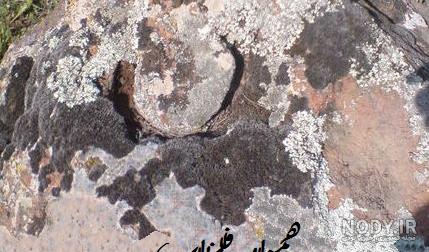 شاخ گاو در دفینه