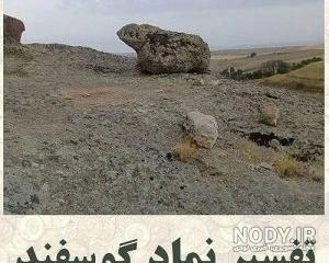 طلسم گاو در دفینه