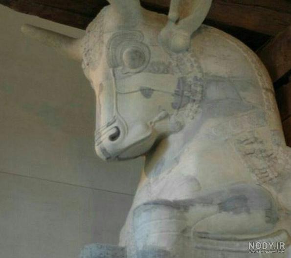 عکس گاو در دفینه یابی