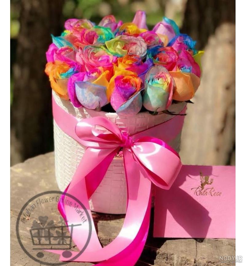 عکس گل رز زرد و قرمز عکس گل رز زرد و قرمز