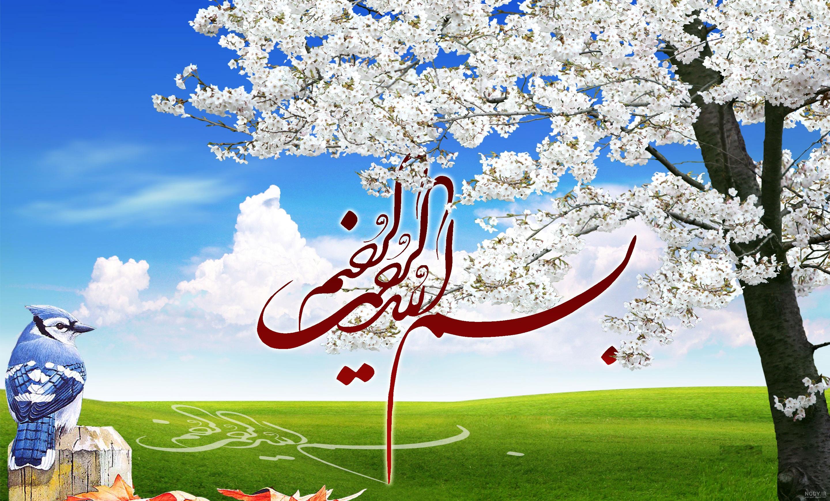 نام الله در طبیعت نام الله در طبیعت
