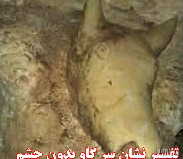 نماد گاو نشسته در دفینه یابی