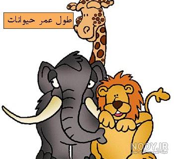 نقاشی حیوانات اهلی و وحشی کلاس اول نقاشی حیوانات اهلی و وحشی کلاس اول