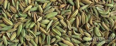 خواص رازیانه برای زنان نی نی سایت خواص رازیانه برای زنان نی نی سایت