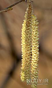 خواص فندق برای حافظه