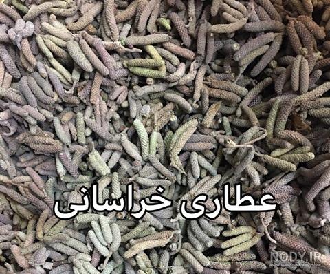 شکوفه درخت فندق