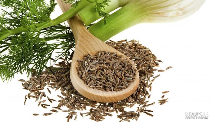 عوارض رازیانه برای کبد عوارض رازیانه برای کبد