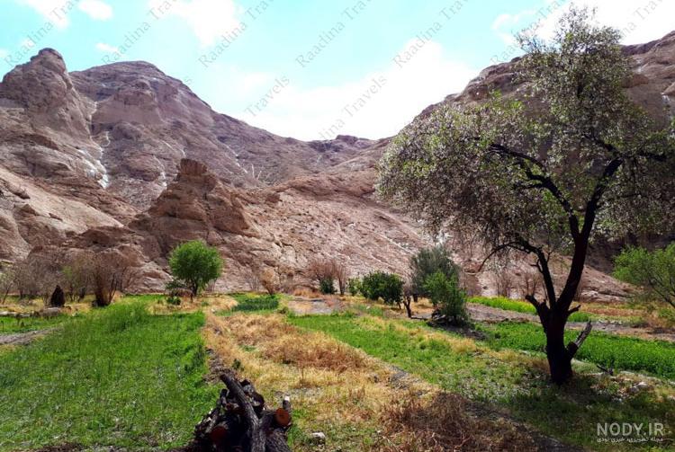 عکس طبیعت یزد