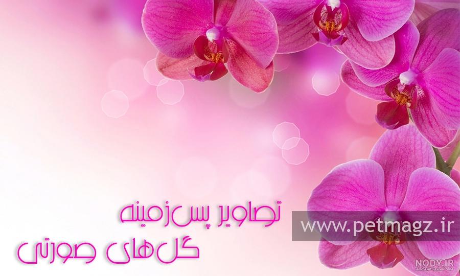 عکس پس زمینه ساده و زیبا