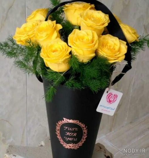 عکس یه شاخه گل رز