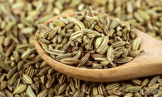 فواید رازیانه فواید رازیانه