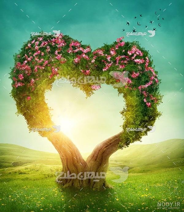عکس طبیعت قلب