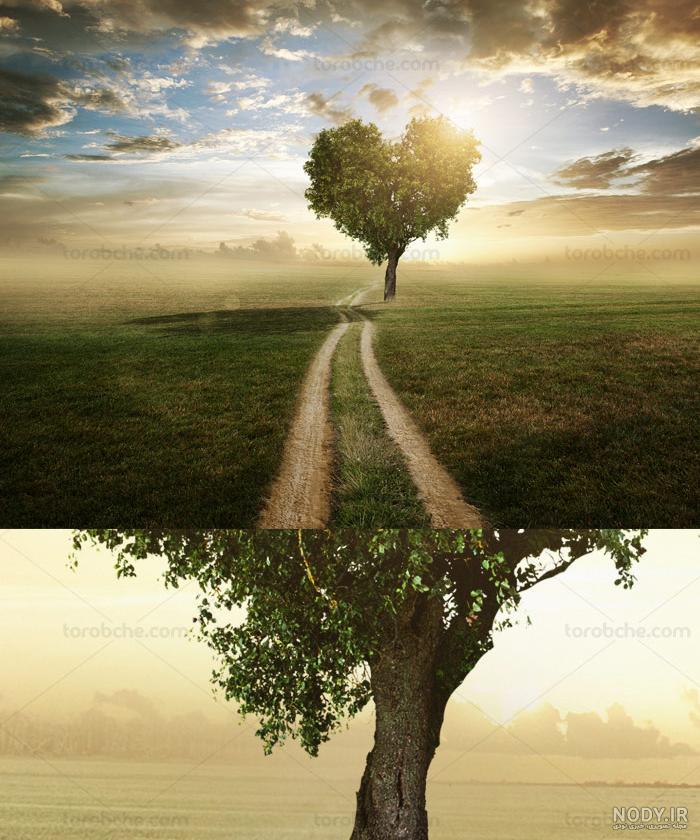 عکس قلب عاشقانه