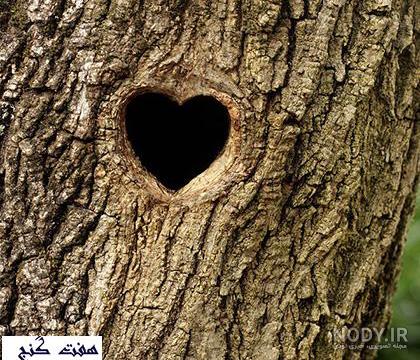 عکس یه قلب خوشگل