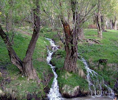 حوضچه های طبیعی ایران حوضچه های طبیعی ایران