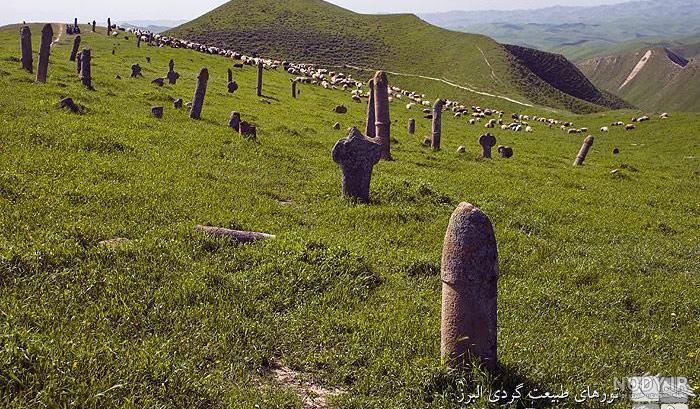 عکس خالد نبی
