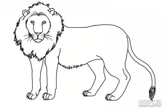 عکس شیر کودکی