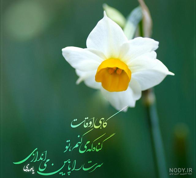 عکس نوشته حدیث ظهور