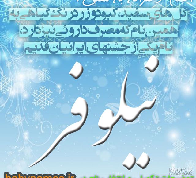 عکس نوشته نیلوفر به انگلیسی