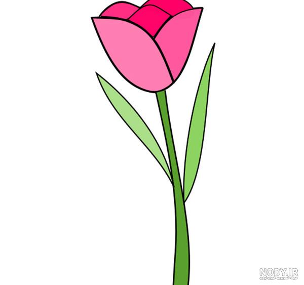 عکس گل لاله قرمز نقاشی