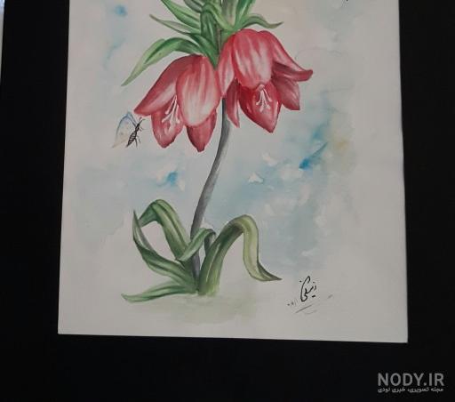 عکس گل لاله نقاشی