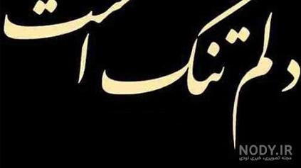 متن کوتاه دلتنگی