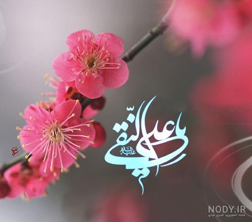تصاویر ولادت امام علی نقی