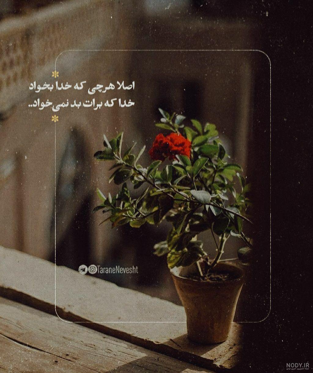 تصویر زمینه نام خدا تصویر زمینه نام خدا