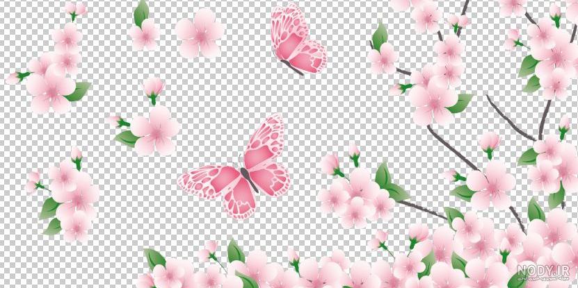 دانلود وکتور شکوفه