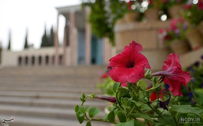 سپیدان شیراز کجاست سپیدان شیراز کجاست