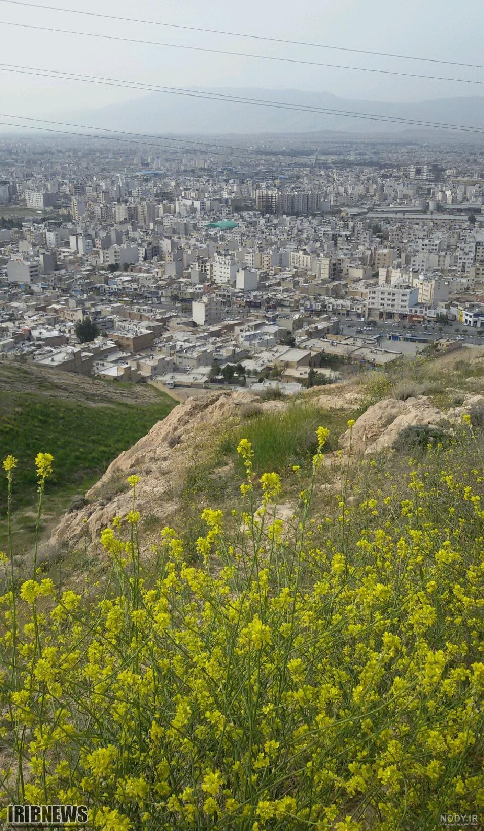 عکس از طبیعت شیراز