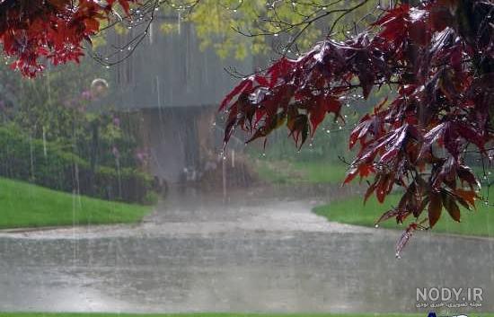 عکس بارش باران در طبیعت