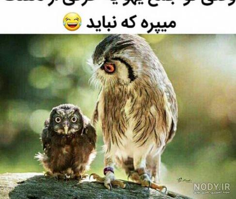 عکس طنز باحال