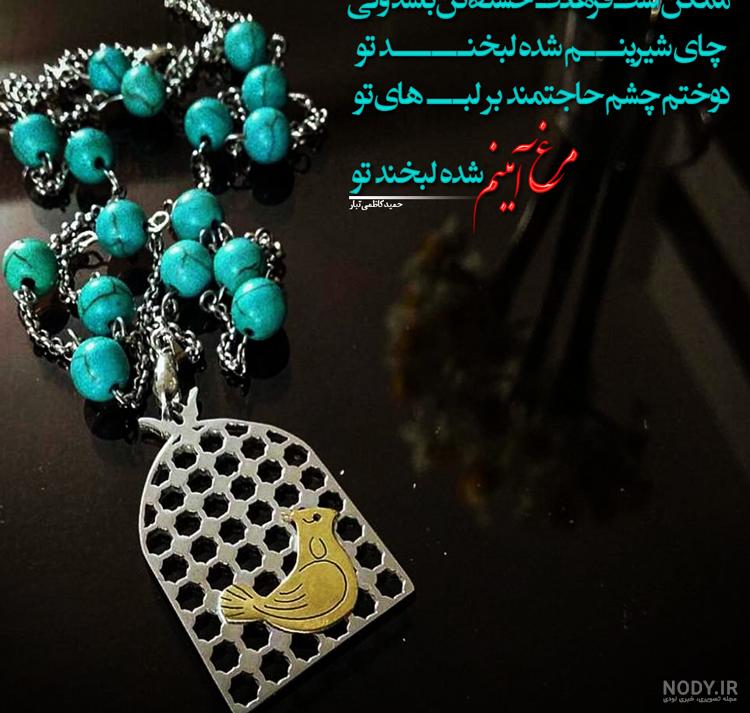 عکس مرغ آمین عکس مرغ آمین