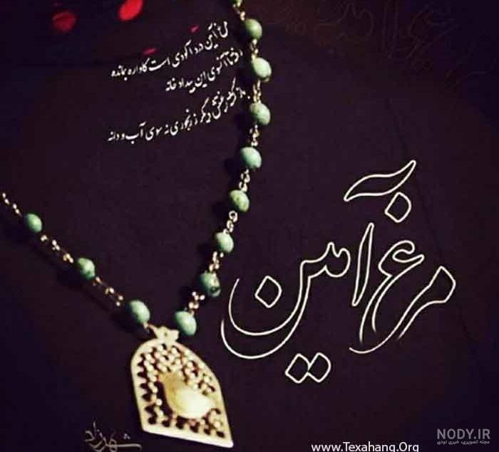 عکس نوشته مرغ آمین درد آلودیست عکس نوشته مرغ آمین درد آلودیست