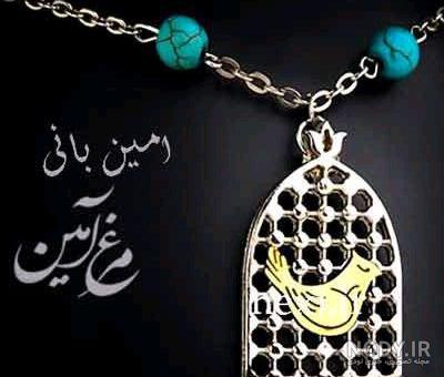 عکس نوشته مرغ امین شهرزاد عکس نوشته مرغ امین شهرزاد