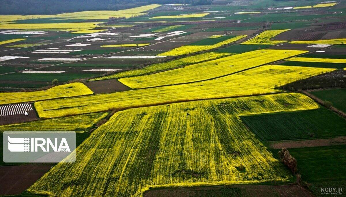 عکس هوایی زمین کشاورزی عکس هوایی زمین کشاورزی