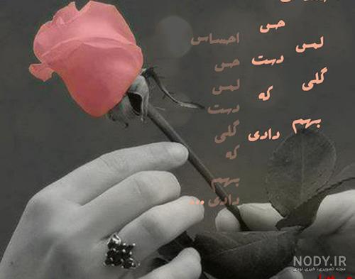 عکس گل برای نوشتن متن عکس گل برای نوشتن متن