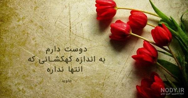 عکس گل عشق عکس گل عشق