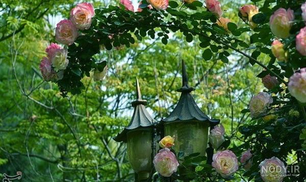 عکسهای طبیعت شیراز عکسهای طبیعت شیراز