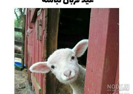 عید نوروز در ایران باستان عید نوروز در ایران باستان