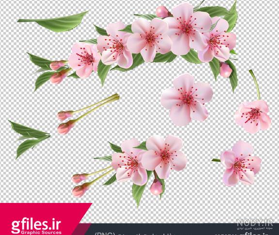 لایه باز شکوفه بهاری