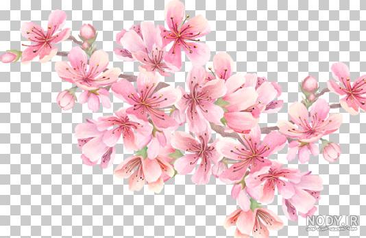 مرجع طرح های لایه باز