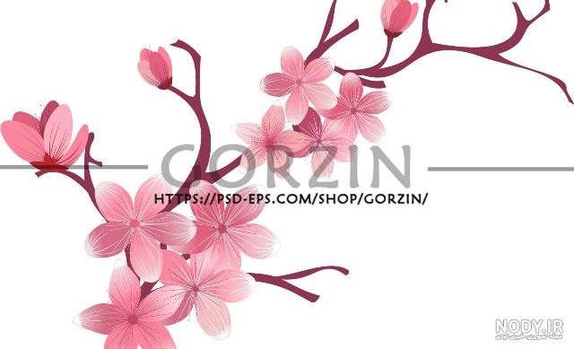مرجع لایه باز