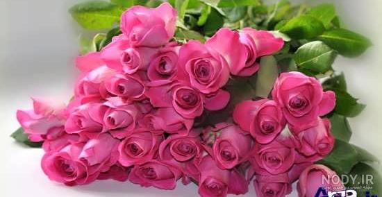 معنی گل رز زرد معنی گل رز زرد