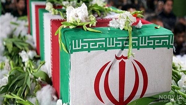 نقاشی گل لاله زیبا نقاشی گل لاله زیبا