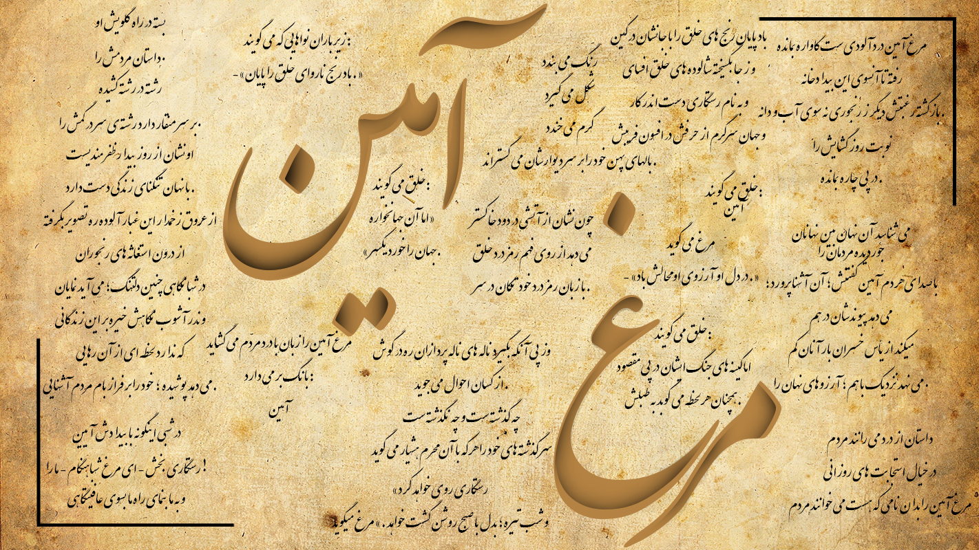 پرنده مرغ آمین واقعی پرنده مرغ آمین واقعی