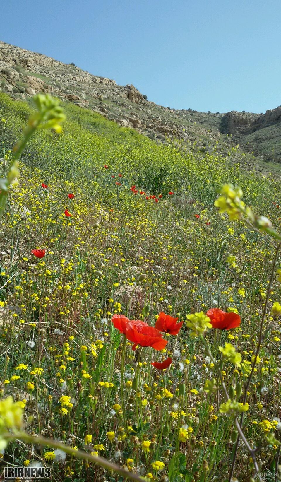 چشمه های استان فارس چشمه های استان فارس